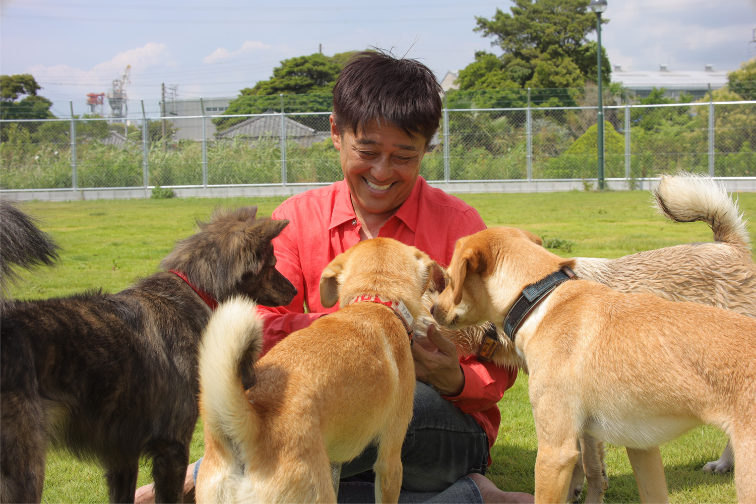 坂上忍さんと「さかがみ家」と共にドギーズアイランドで愛犬と過ごす休日(千葉県八街市)