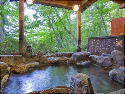 いかほ秀水園 温泉イメージ