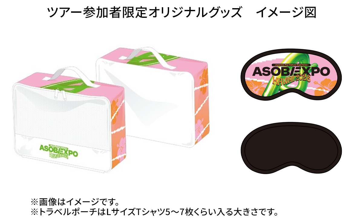 ロビン アジア 海外 限定 ASIA 日本未発売 日本未配布3 鈴木スポーツ - ロシニョール アパレル アジアンフィト 2025年モデル