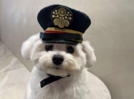 わんわんエクスプレスで行く 〜愛犬と楽しむインターペット大阪〜 貸切