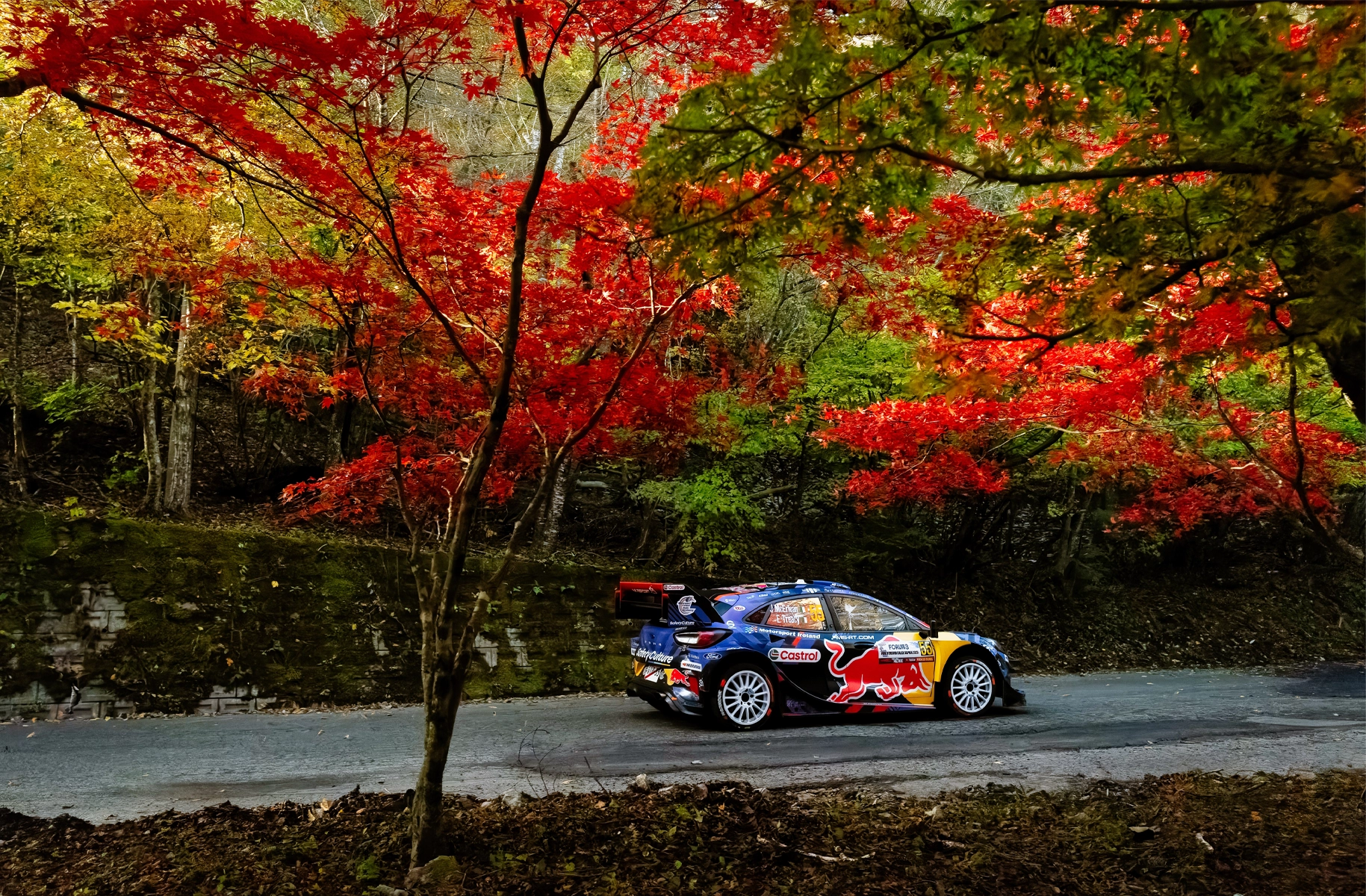 額田